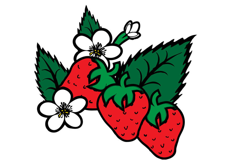 erdbeeren Bild erdbeeren