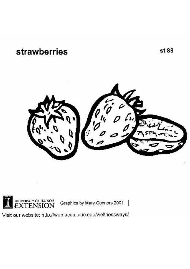 erdbeeren Malvorlage erdbeeren