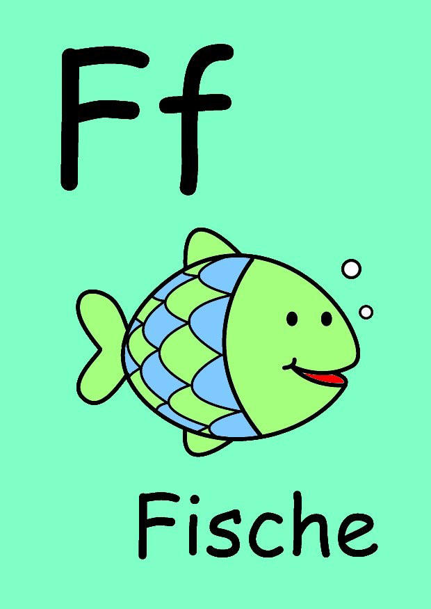 f Bild f