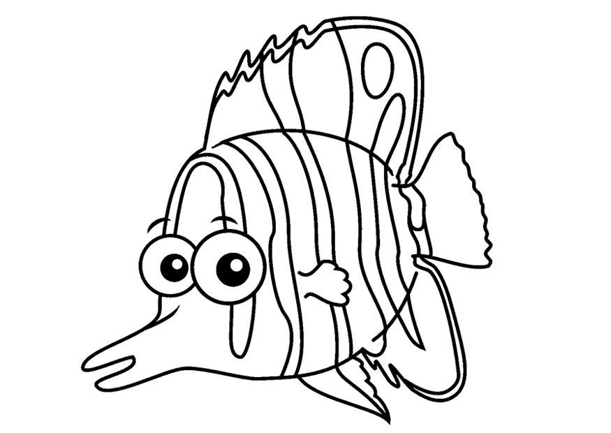 Malvorlage falterfisch