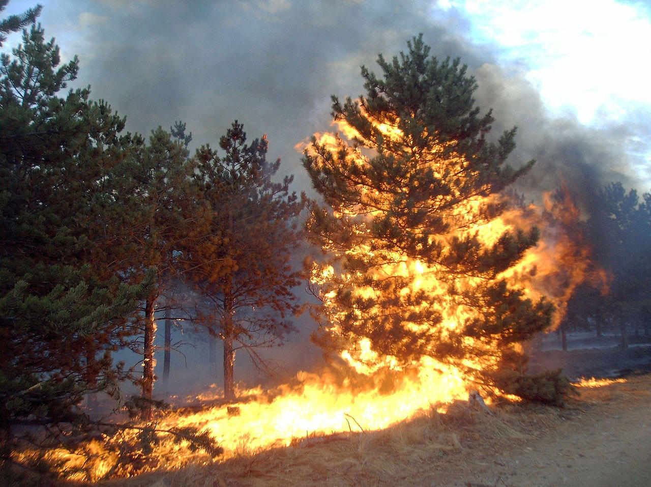 feuer Foto feuer