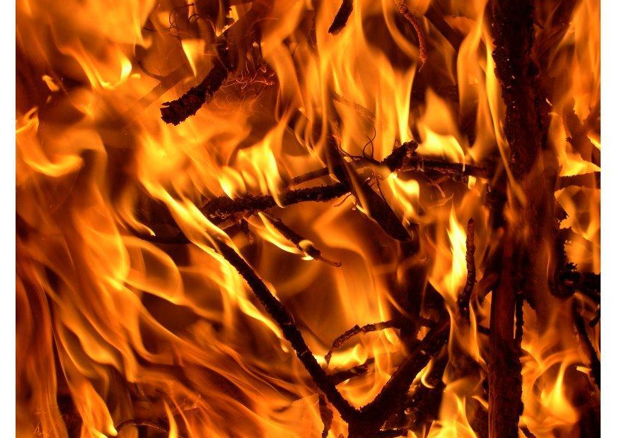feuer - brand Foto feuer - brand