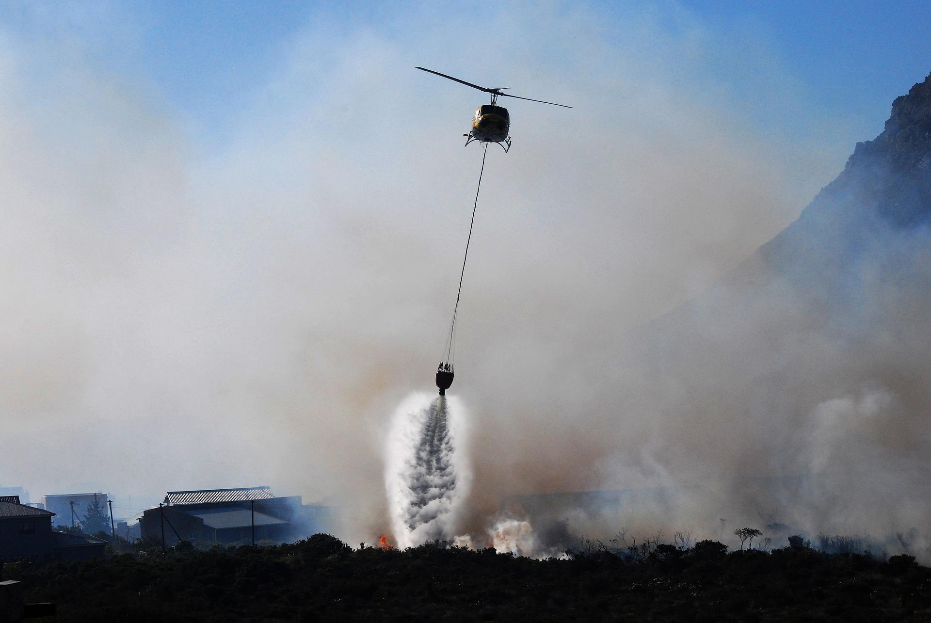 Foto feuerbekA¤mpfung