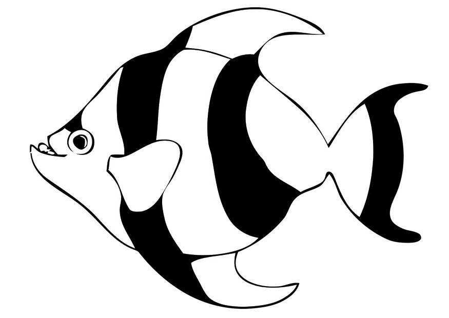 fisch Malvorlage fisch