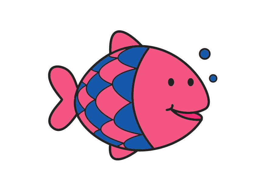fisch Bild fisch