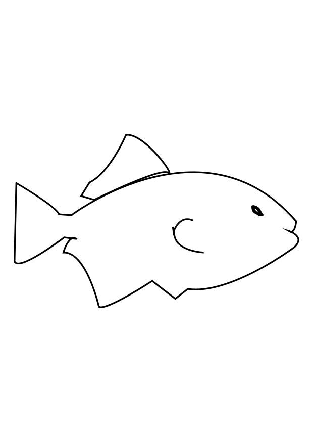 fisch Malvorlage fisch