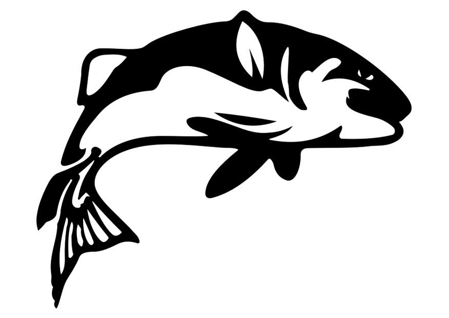 fisch Malvorlage fisch