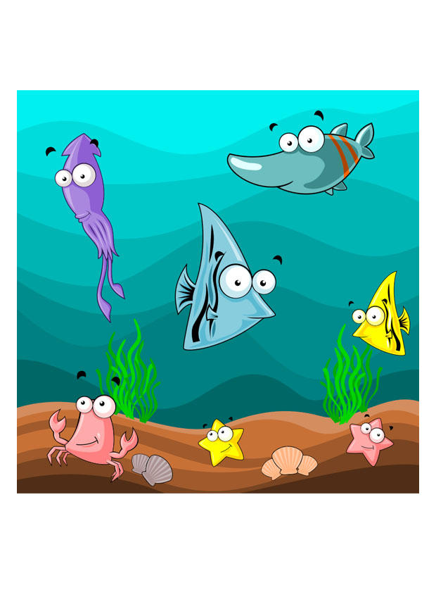 fisch Bild fisch