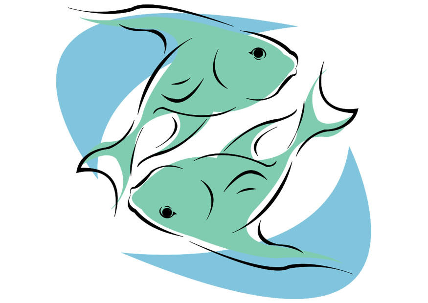 fische Bild fische