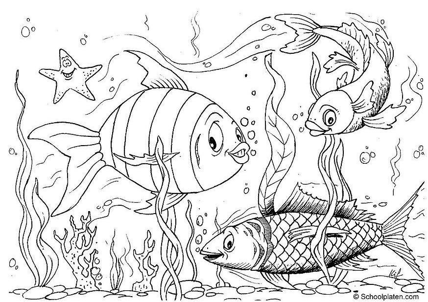 fische Malvorlage fische
