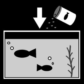 fische fA¼ttern Malvorlage fische fA¼ttern