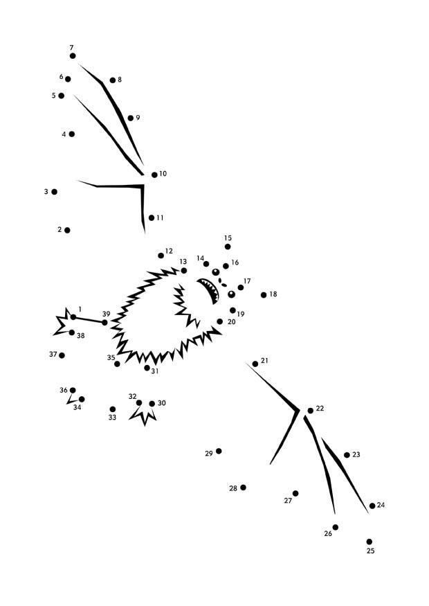 fledermaus Malvorlage fledermaus