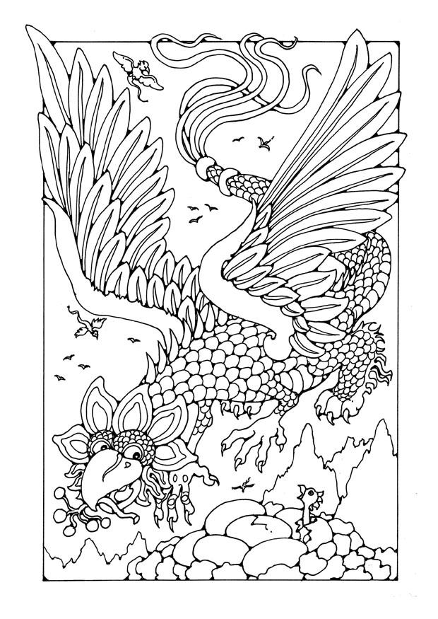 fliegender drache Malvorlage fliegender drache