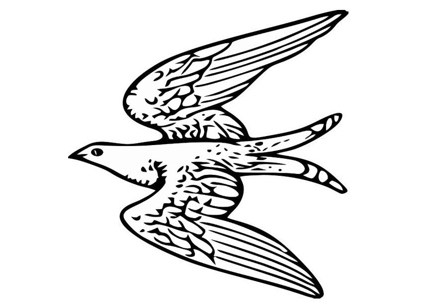 fliegender vogel Malvorlage fliegender vogel