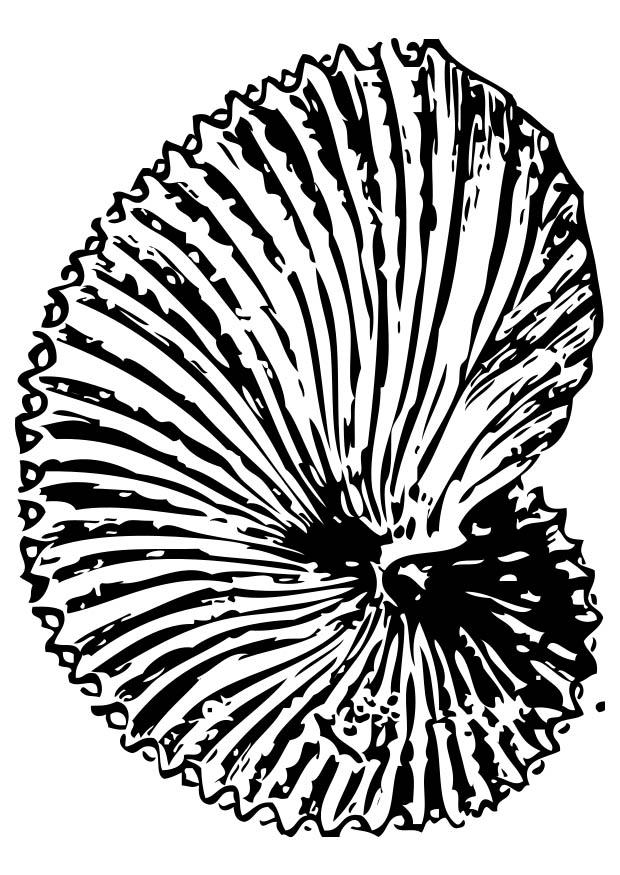 Malvorlage fossil