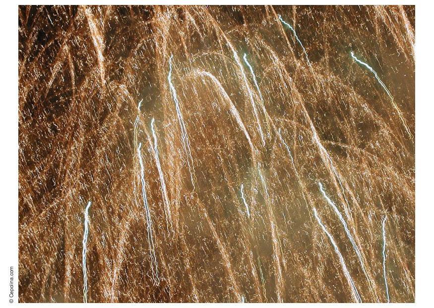 Foto feuerwerk