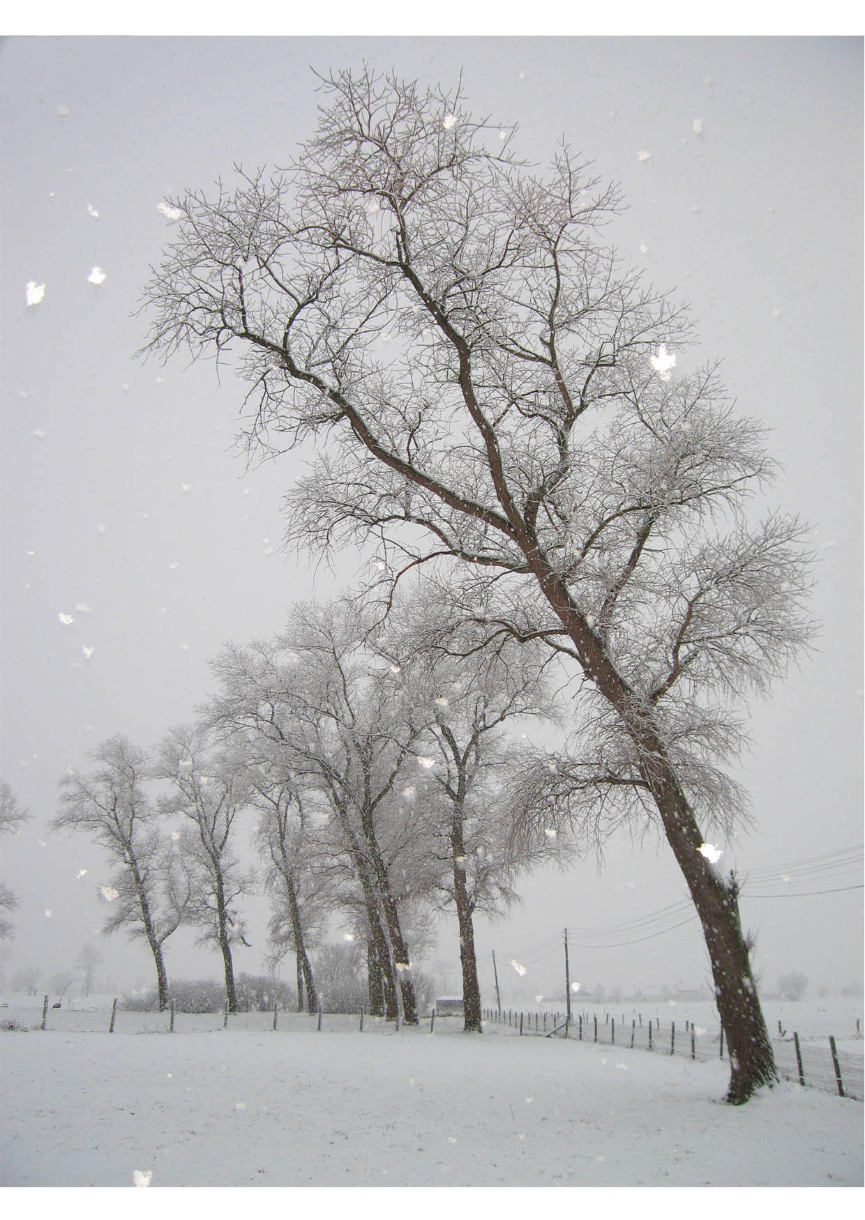Foto schnee - winterlandschaft
