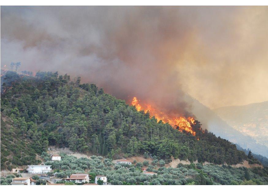 Foto waldbrand