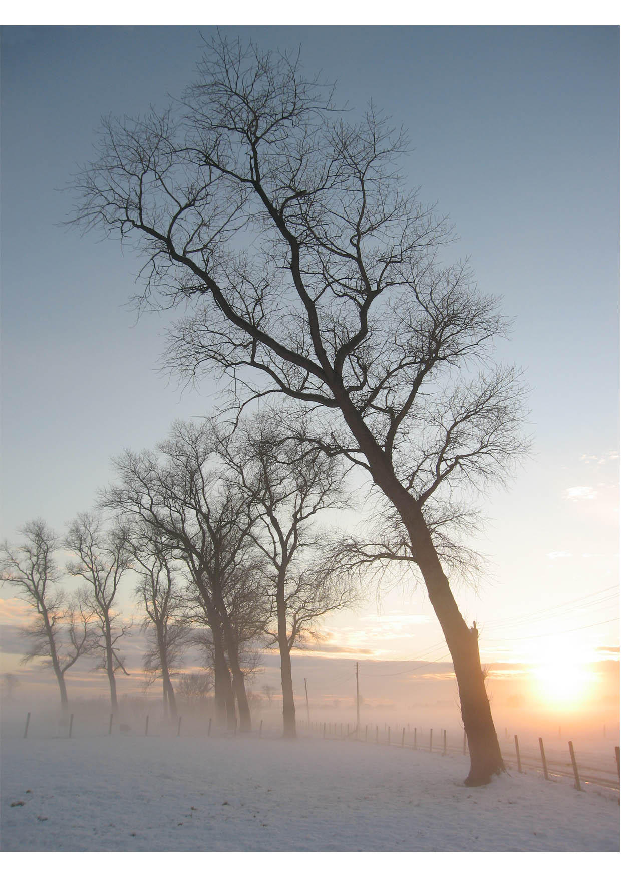 Foto winterlandschaft