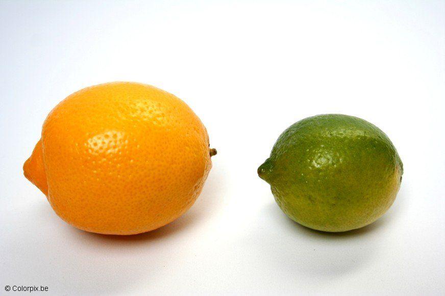 Foto zitrone und limone