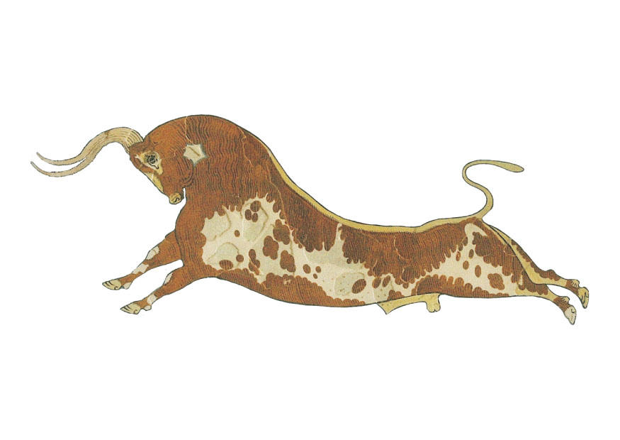 fresco stier von knossos Bild fresco stier von knossos