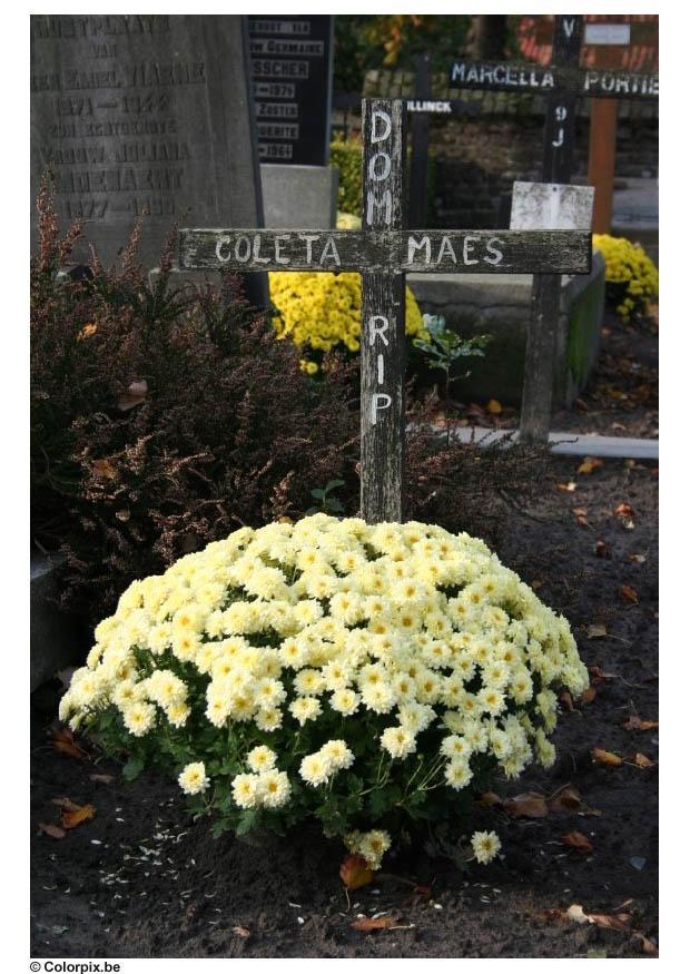friedhof Foto friedhof