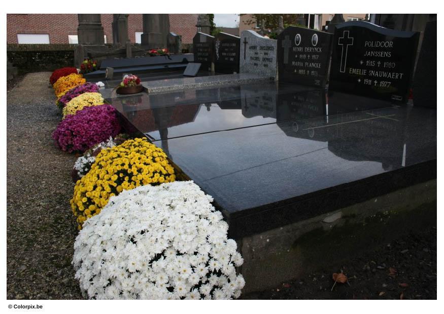 friedhof Foto friedhof