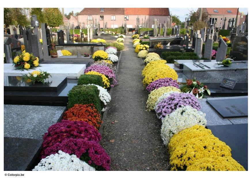 friedhof Foto friedhof