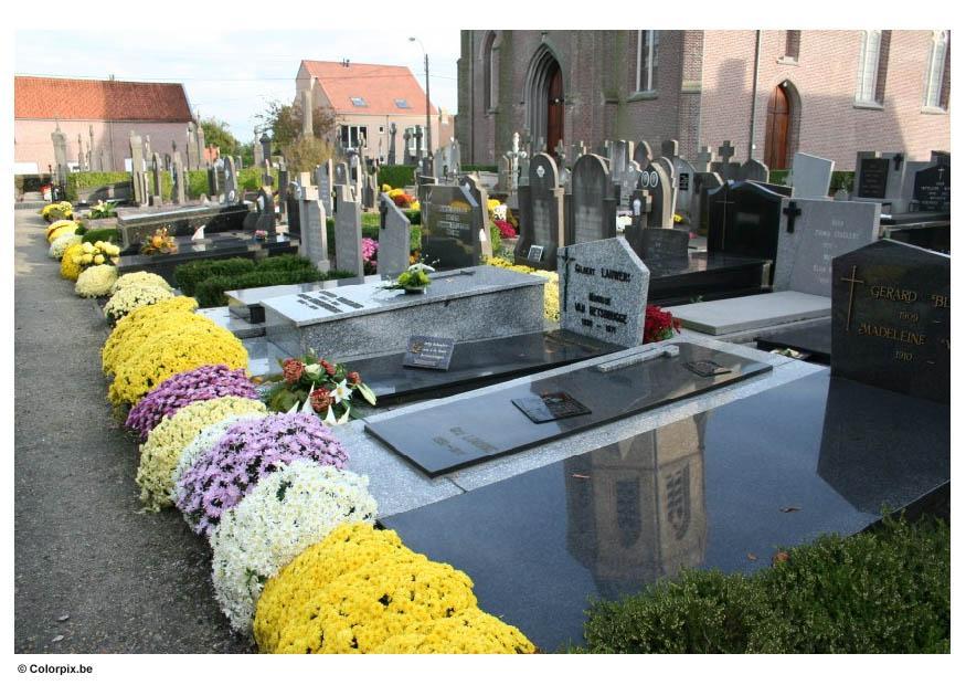 friedhof Foto friedhof