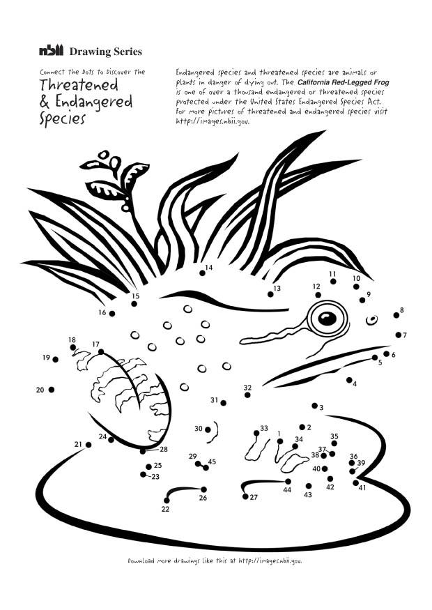 Malvorlage frosch