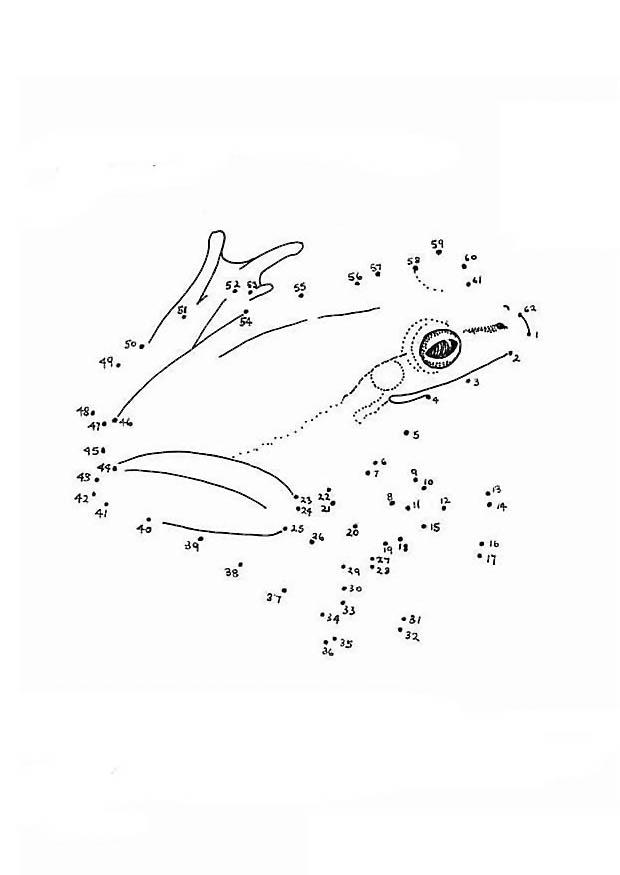Malvorlage frosch