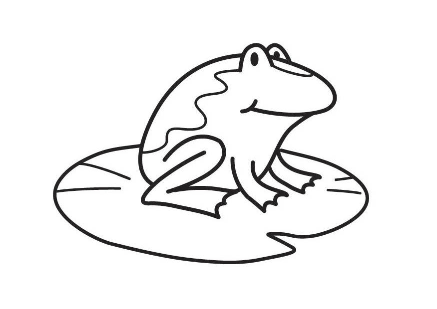 frosch Malvorlage frosch