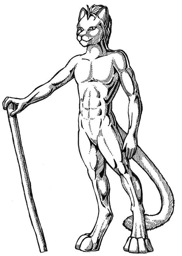 furryboy Malvorlage furryboy