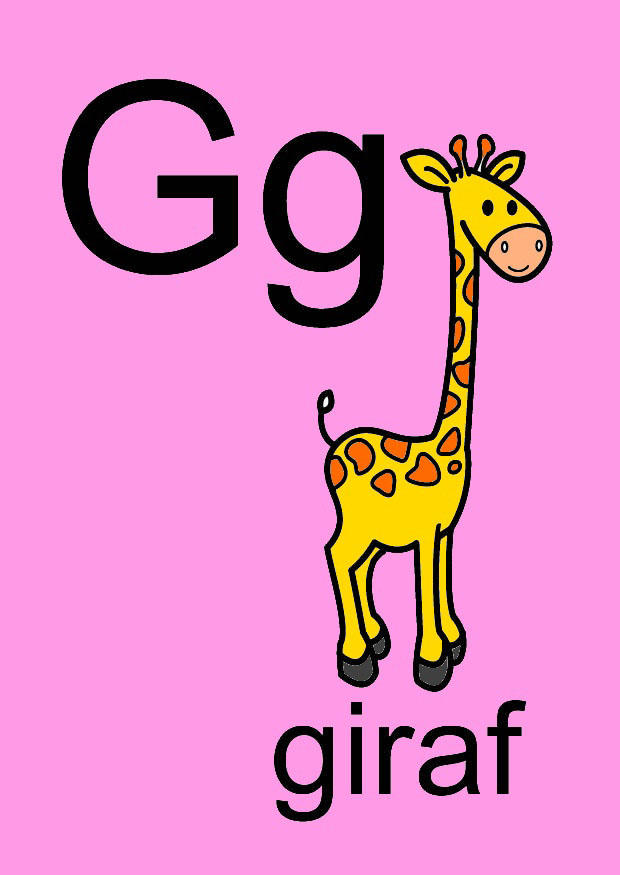 g Bild g