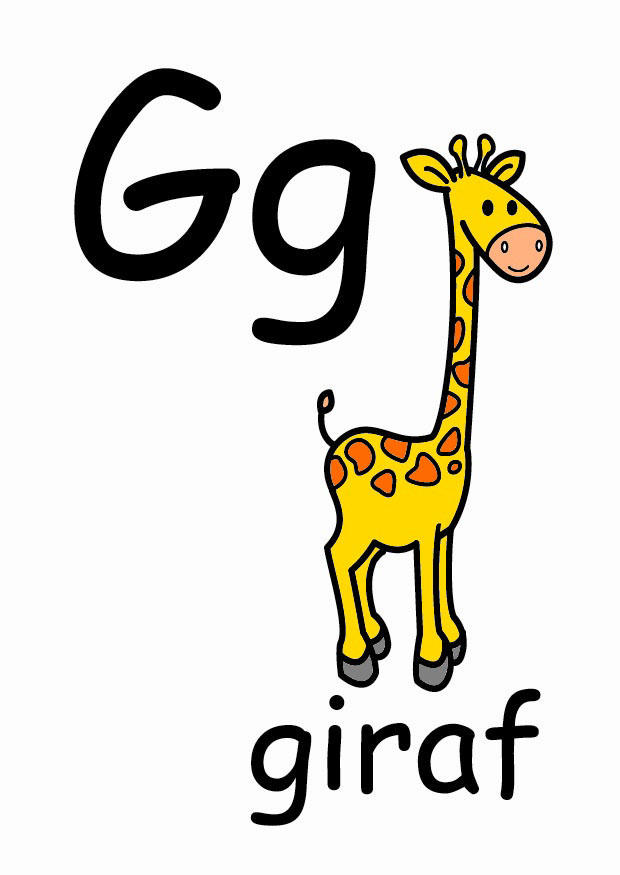 g Bild g