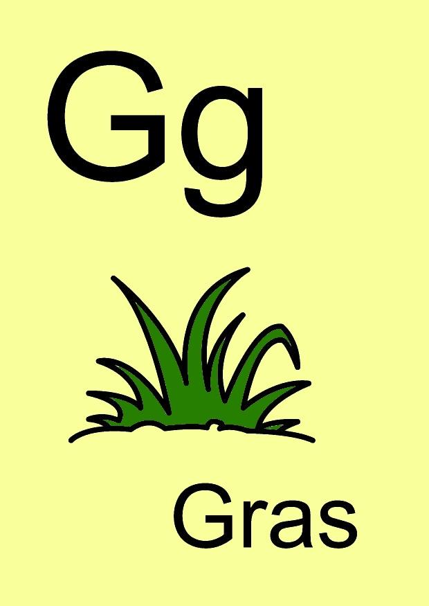 g Bild g