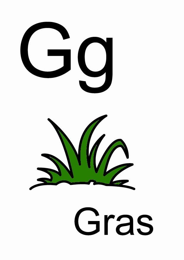 g Bild g
