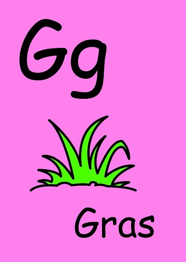 g Bild g