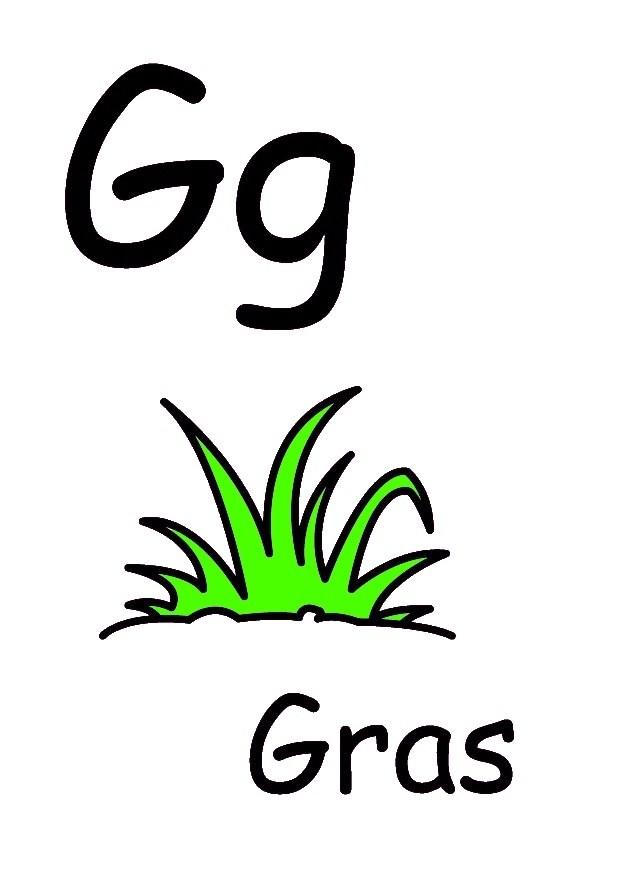 g Bild g