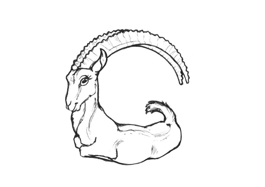 g-goat Malvorlage g-goat