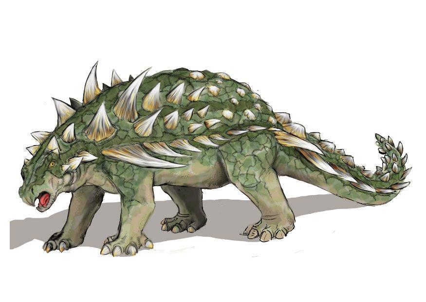 gastonia burgei Bild gastonia burgei