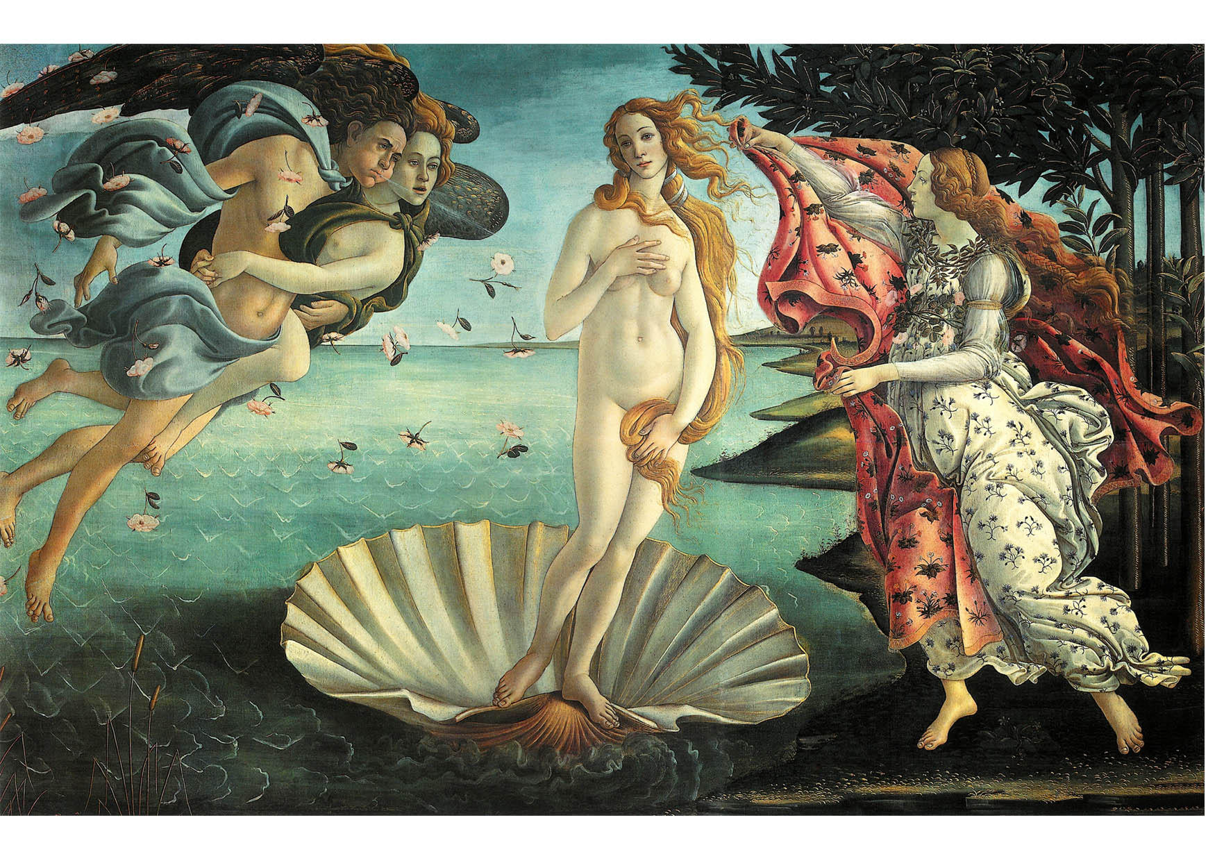 geburt der venus - sandro botticelli Bild geburt der venus - sandro botticelli