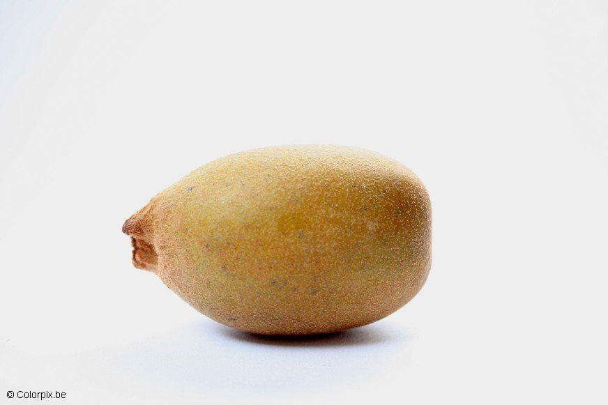Foto gelbe kiwi