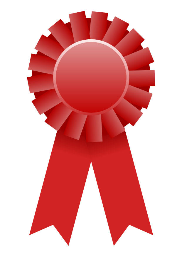 gewinner Bild gewinner