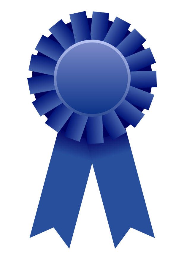 gewinner Bild gewinner