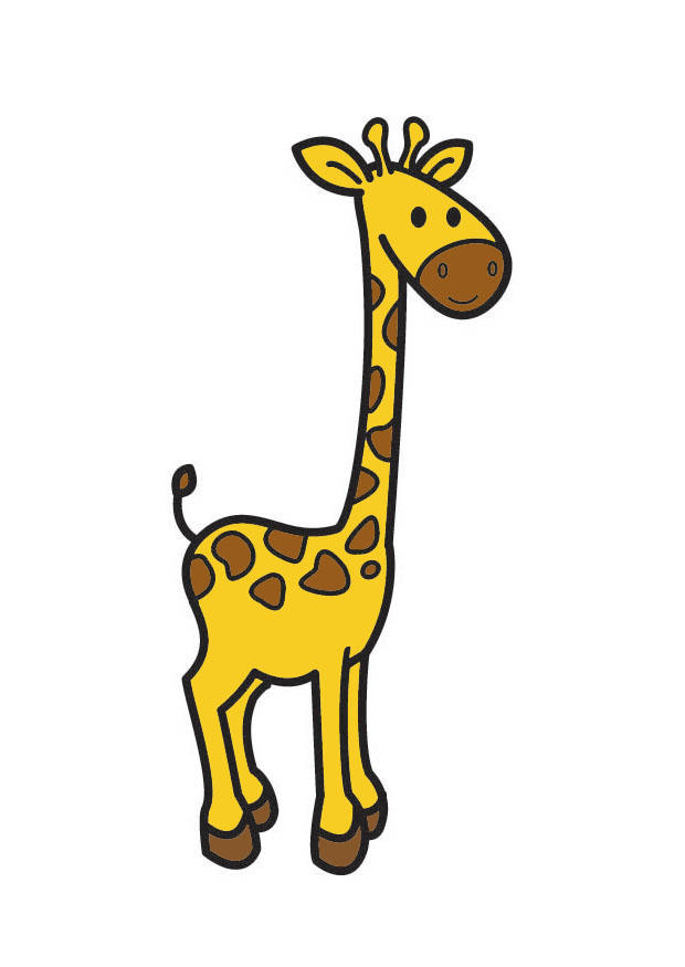 giraffe Bild giraffe
