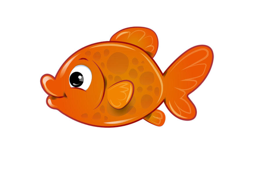 goldfisch Bild goldfisch