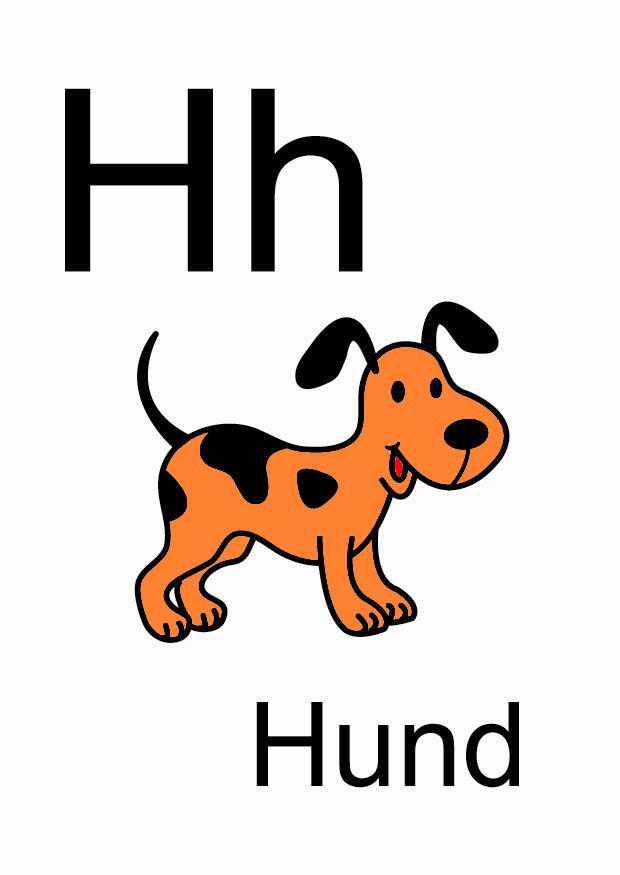 h Bild h