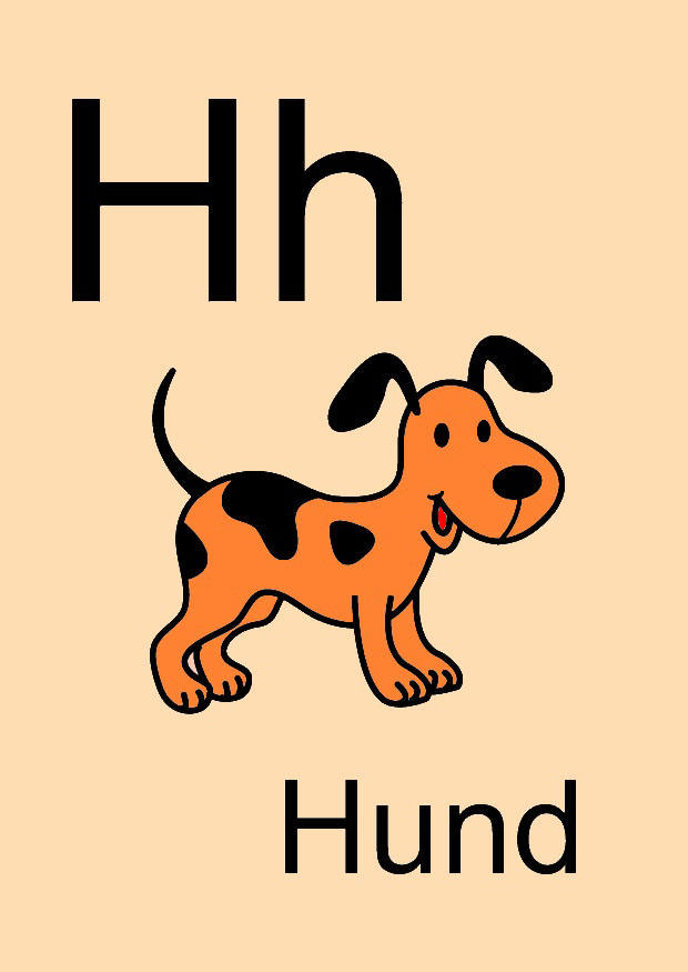 Bild h