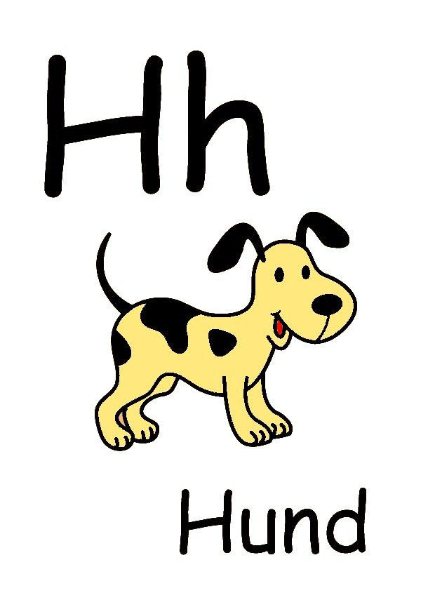 h Bild h